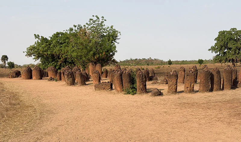 Ancient stone circles in The Gambia