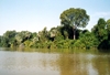 Gambia - River Gambia National Park